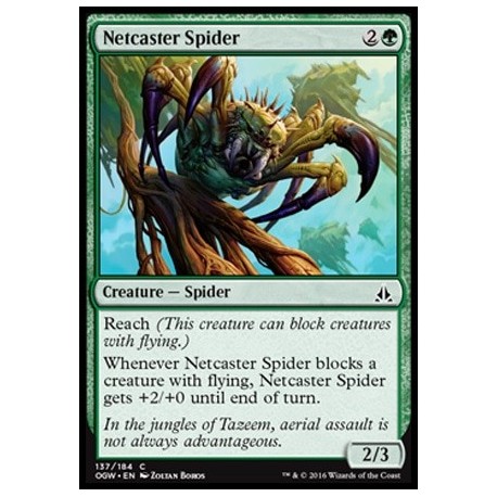 Netcaster Spider