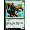 Netcaster Spider