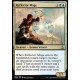 Reflector Mage