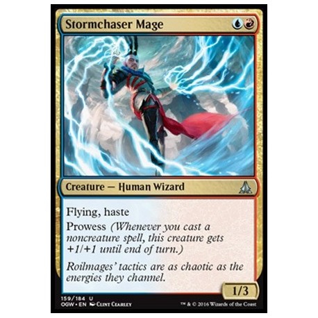 Stormchaser Mage