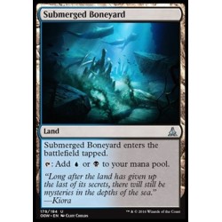 Submerged Boneyard