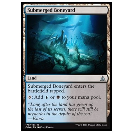 Submerged Boneyard