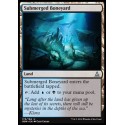 Submerged Boneyard