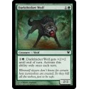 Darkthicket Wolf