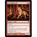 Feral Ridgewolf