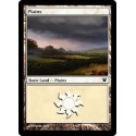 Plains - Foil