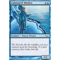 Lumengrid Warden