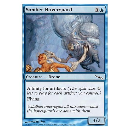 Somber Hoverguard