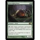 Scavenging Ooze