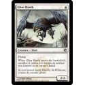 Glint Hawk