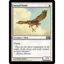 Suntail Hawk - Foil