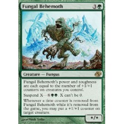Fungal Behemoth