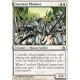 Conclave Phalanx