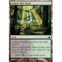 Golgari Rot Farm