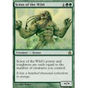 Scion of the Wild