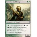 Selesnya Guildmage