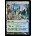 Simic Guildgate